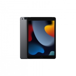 iPad 9.Nesil 10.2 inç 256 GB Wifi+Cellular Uzay Grisi MK4E3TU/A