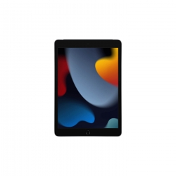 iPad 9.Nesil 10.2 inç 256 GB Wifi+Cellular Uzay Grisi MK4E3TU/A