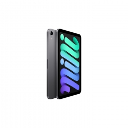 iPad Mini 8.3 inç 64 GB Wifi Uzay Grisi MK7M3TU/A