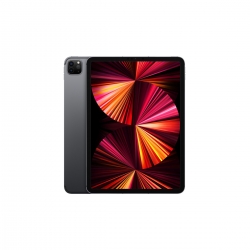 iPad Pro 11 inç Wifi+Cellular 2TB Uzay Grisi MHWE3TU/A