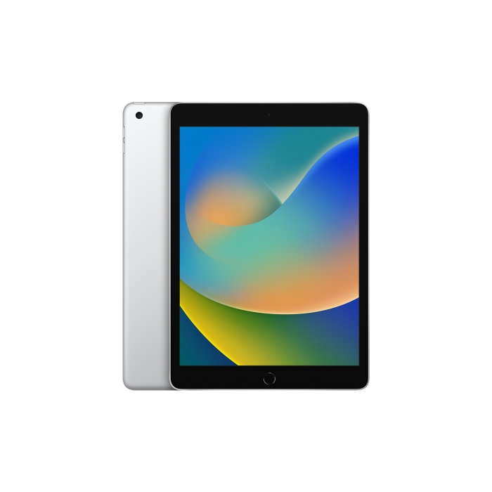 iPad 9.Nesil 10.2 inç 64 GB Wifi Gümüş MK2L3TU/A