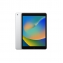 iPad 9.Nesil 10.2 inç 64 GB Wifi Gümüş MK2L3TU/A
