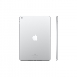 iPad 9.Nesil 10.2 inç 256 GB Wifi Gümüş MK2P3TU/A