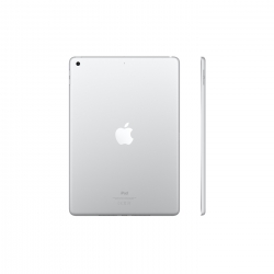 iPad 9.Nesil 10.2 inç 64 GB Wifi+Cellular Gümüş MK493TU/A